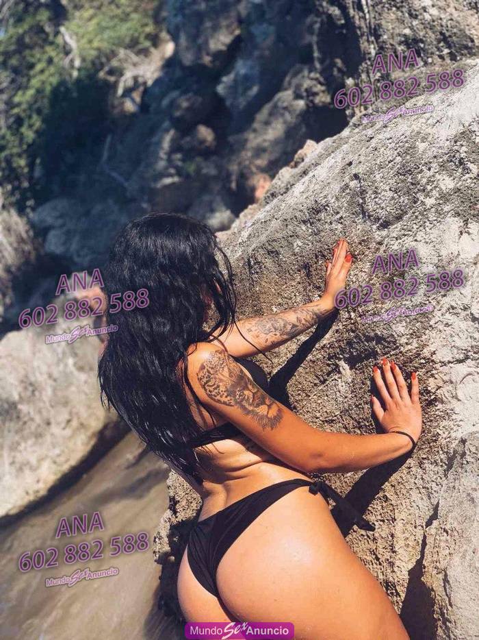 Inocencia morbo y sensualidad las 24 h salidas profile photo