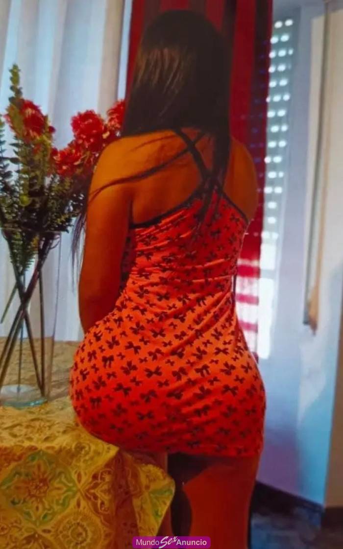NOVEDAD CANDENTE Y PASIONAL profile photo