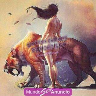 NOVEDAD EN VICAR 4 CHICAS LATINAS ENCANTAORAS profile photo
