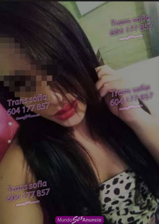 Trans Sofía dotada discreta profile photo