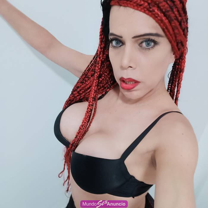 TRANS ACTIVA/PASIVA RECIEN LLEGADA profile photo