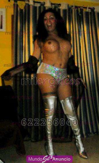 TRANSEX AMANDA TAYLOR FIESTEIRA 622256040 profile photo