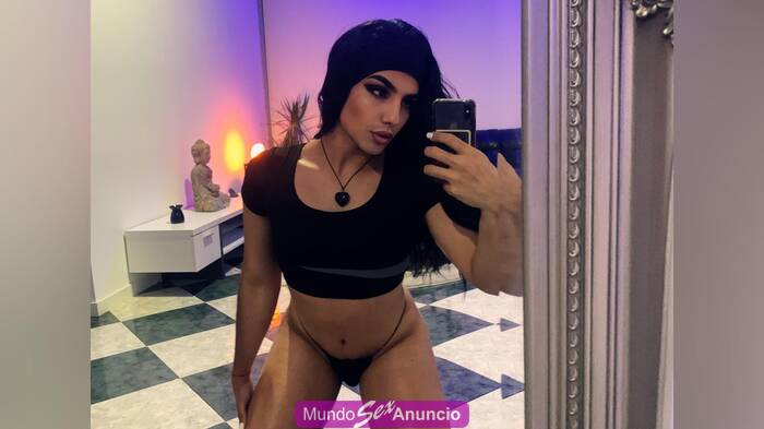 CALIENTE Y FIESTERA TRANS profile photo