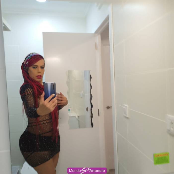 SOY LA TRANS QUE TANTO BUSCABAS profile photo
