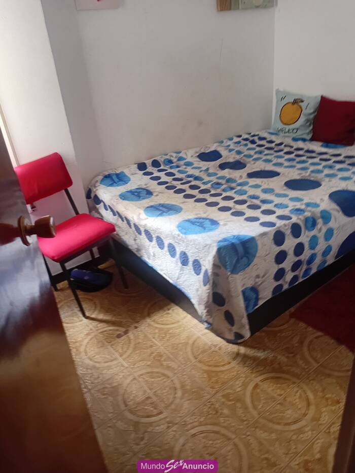 Piso à Benicarlo. Habitation exclusive pour clients profile photo