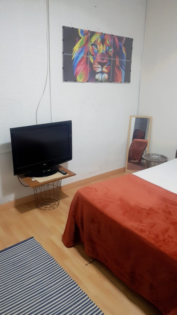 NEW NEW HABITACIONES DISPONIBLE EN LLEIDA CENTRO profile photo