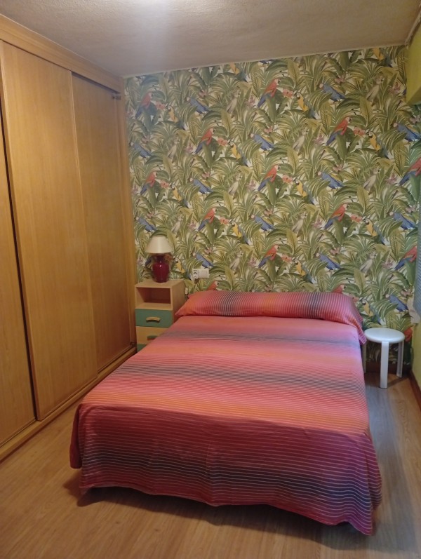 EXCLUSIVA HABITACIÓN DE DOBLE AMBIENTE - A CORUÑA profile photo