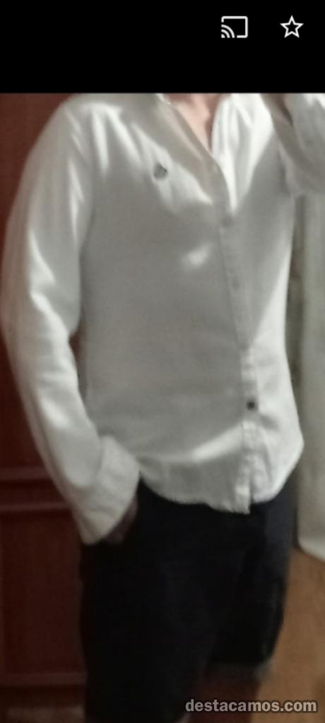Companion boy profile photo