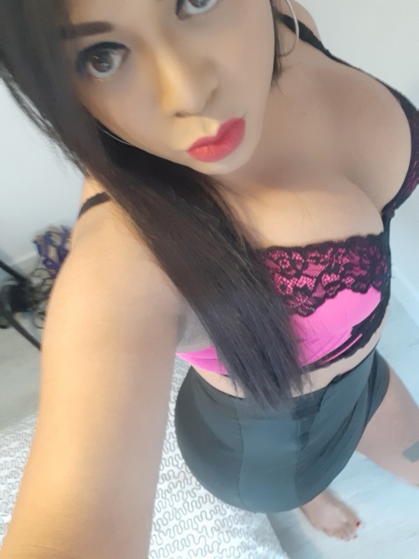 NIKOL TRANS SEXY LATINA profile photo