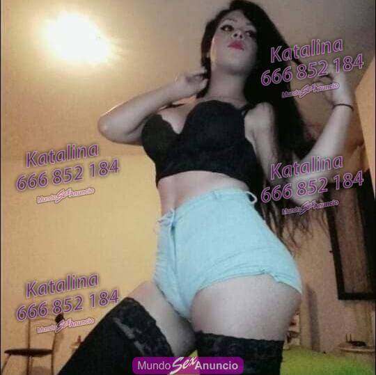 Por primera vez en tu zona bella trans Katalina profile photo