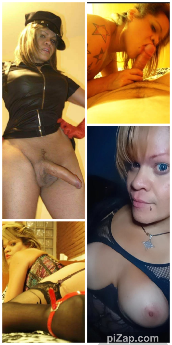 NOVEDAD 24 HRS CAñERA PROFESIONAL CON PRINCIPIANTES FIESTERA profile photo