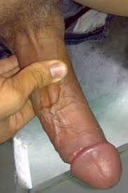 CUBANO POLLóN XL EMPOTRADOR DOMINANTE LECHERO MORBOSO profile photo