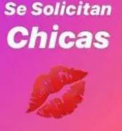 SE SOLICITAN CHICAS MUCHO TRABAJO profile photo
