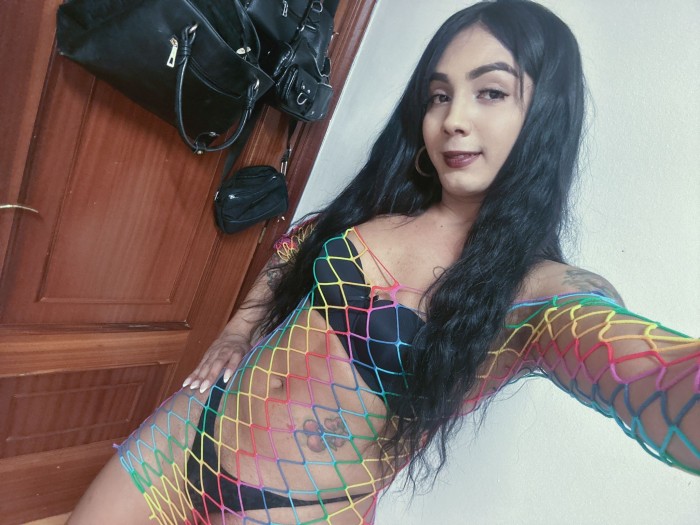 TRANS FIESTEIRA EN RIBADEO profile photo
