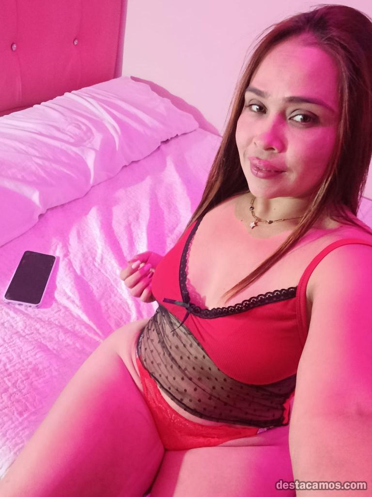 TU CHICA LATINA MORBOSA CACHONDA NOVEDAD FIESTERA profile photo