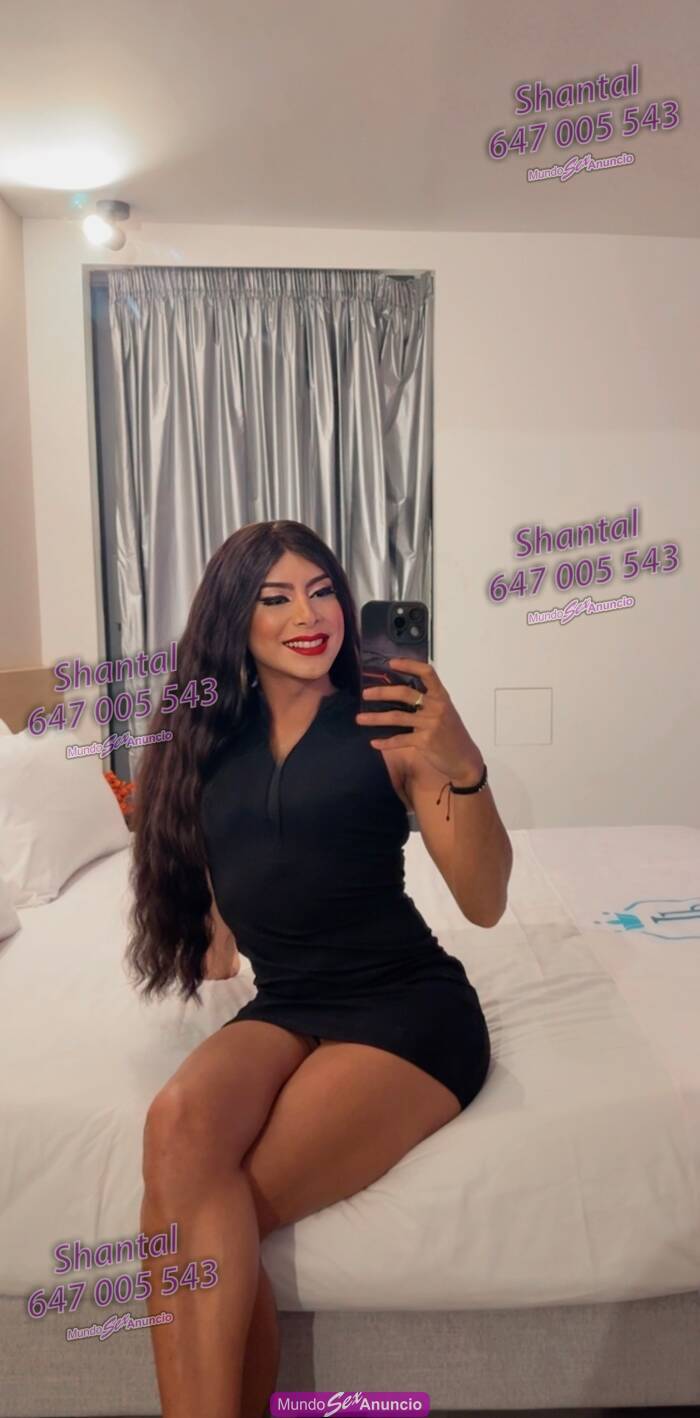 SHANTAL profile photo