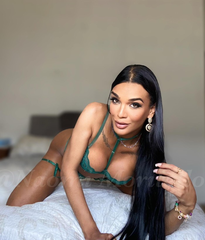 NOVEDAD BELLA MORENA TRANS VICIOSA LECHERA 24H profile photo
