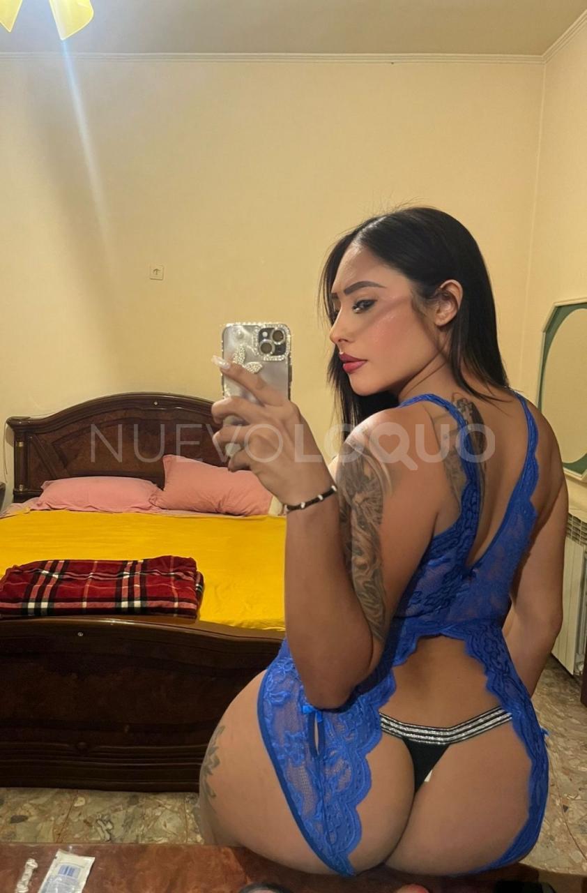 TRANS COLOMBIANA MUY CAñERA NOVEDAD profile photo