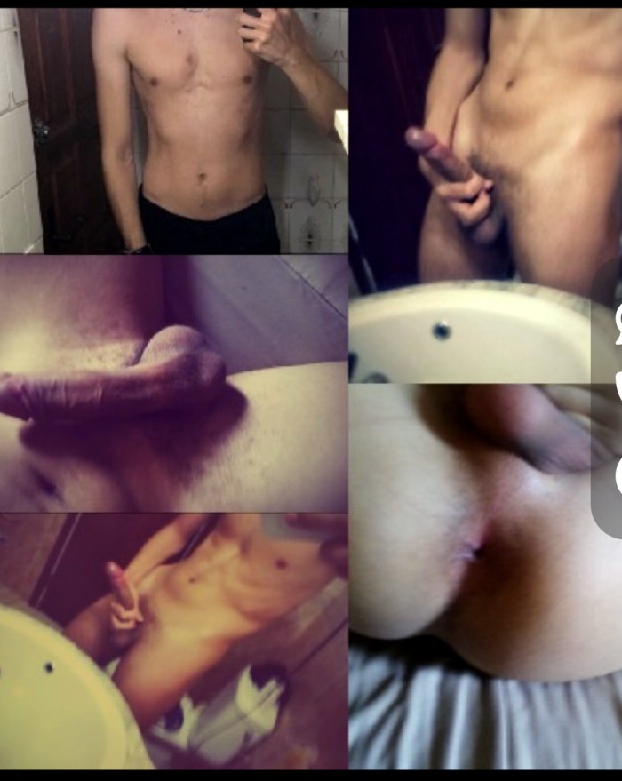 TOY BOY MACHO ALFA profile photo
