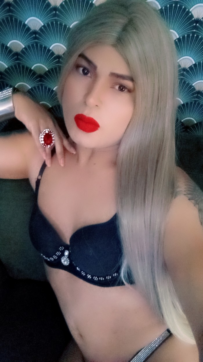 COMPLACIENTE SIN TABUS TRANSEXUAL profile photo