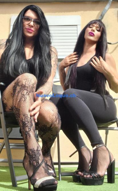 PRMAS TRANS FEMENINA profile photo