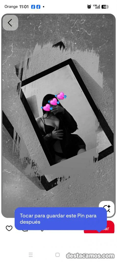Spanische Andalusierin liebt Zuneigung profile photo