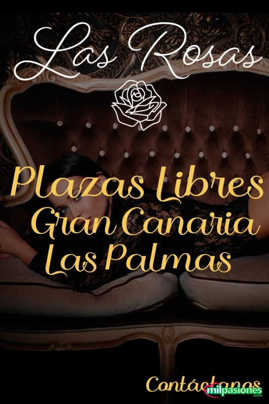PLAZAS LIBRES EN LAS PALMAS DE GRAN CANARIA (CAPITAL) profile photo