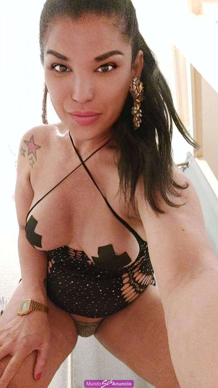 TRANS FIESTERA RECIéN LLEGADA profile photo