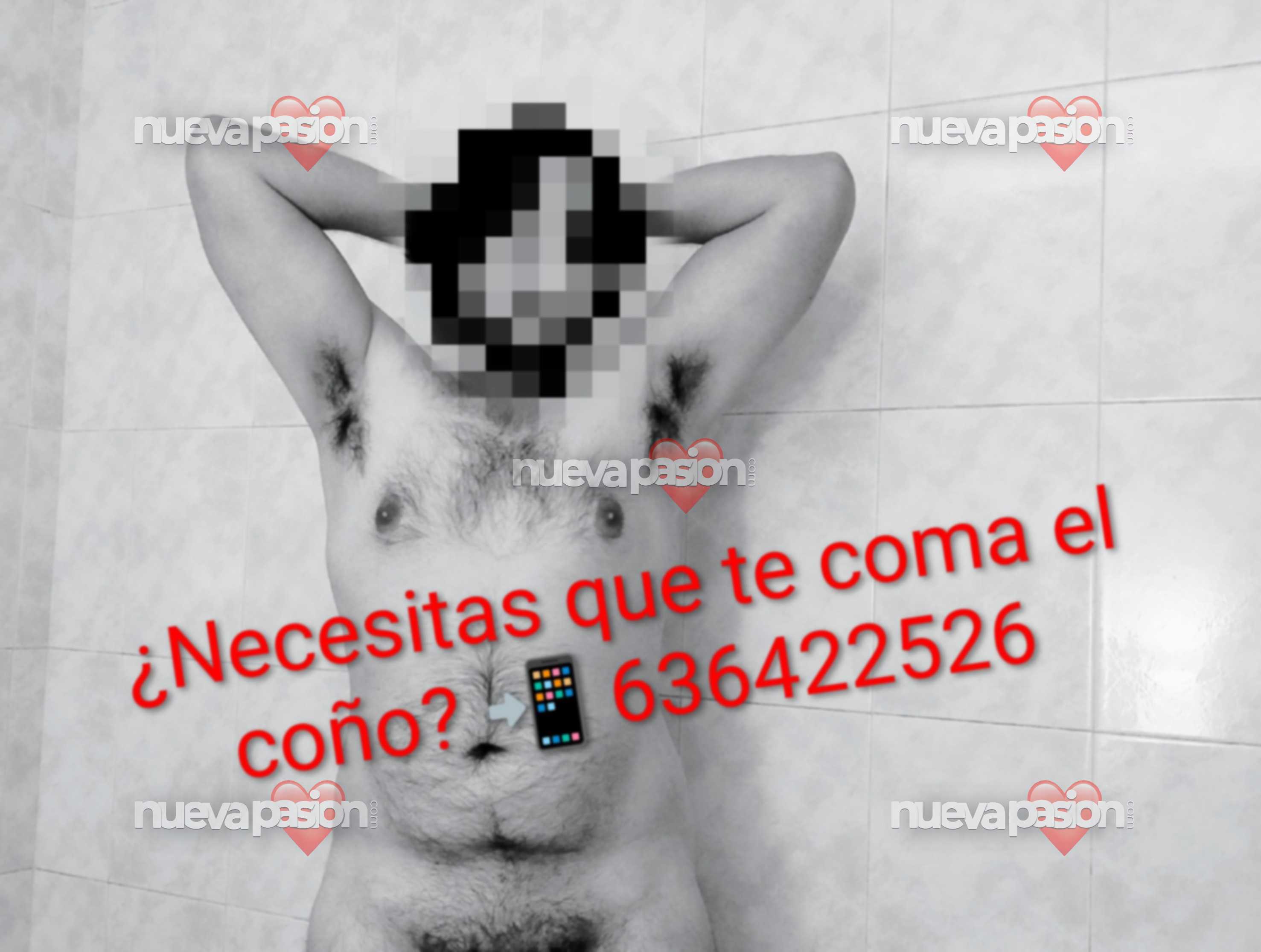 ¿ALGUNA CHICA QUIERE QUE LE COMA EL COÑO? profile photo