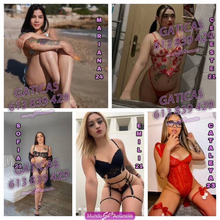 GUARRITAS FIESTERAS SALIDAS DESDE 100€ PACK HRS profile photo