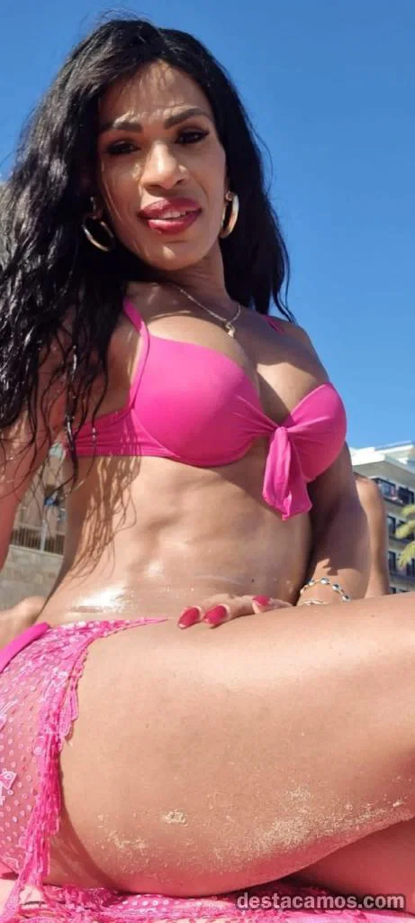 SEVILLA ANAY Bombón Latina Trans Novedad VEN Anímate profile photo