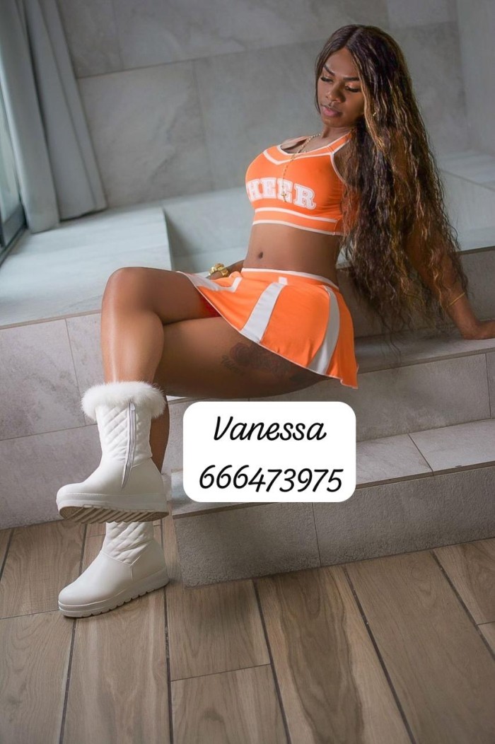 CHICA TRANS FIESTERA MORENA 21CM profile photo