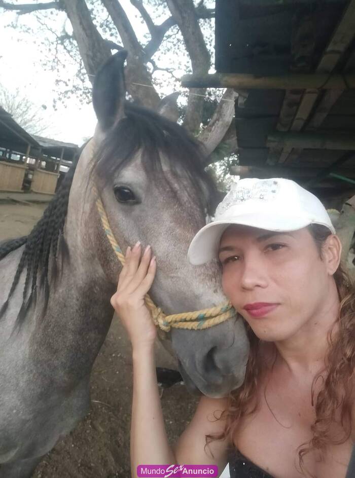 Sevilla venezolana profile photo