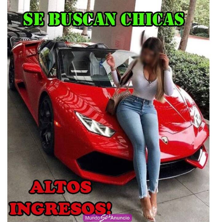 SE BUSCAN CHICAS EXCELENTES INGRESOS profile photo