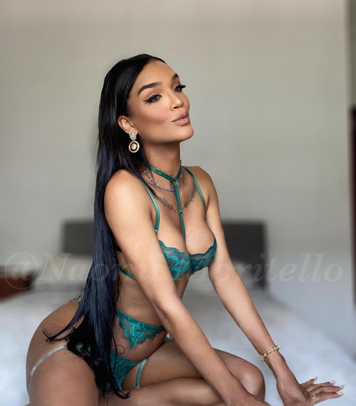 NOVEDAD BELLA MORENA TRANS COMPLETISSIMA A TOP profile photo