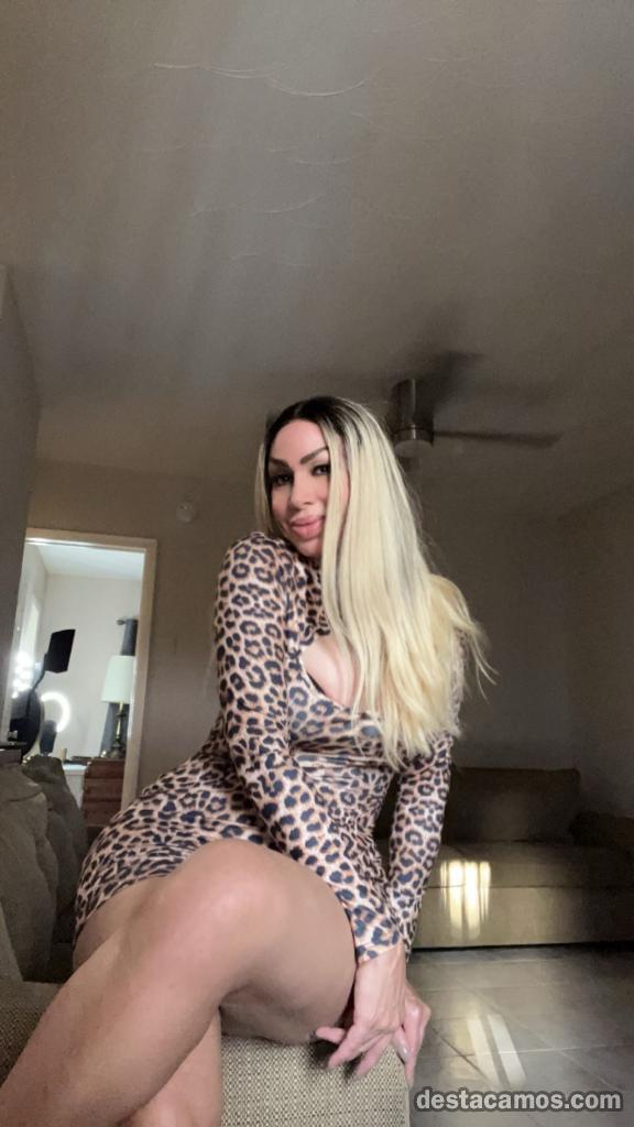 CHICA TRANS DOMINANTE POLLONA VERSATIL COMPLACIENT profile photo