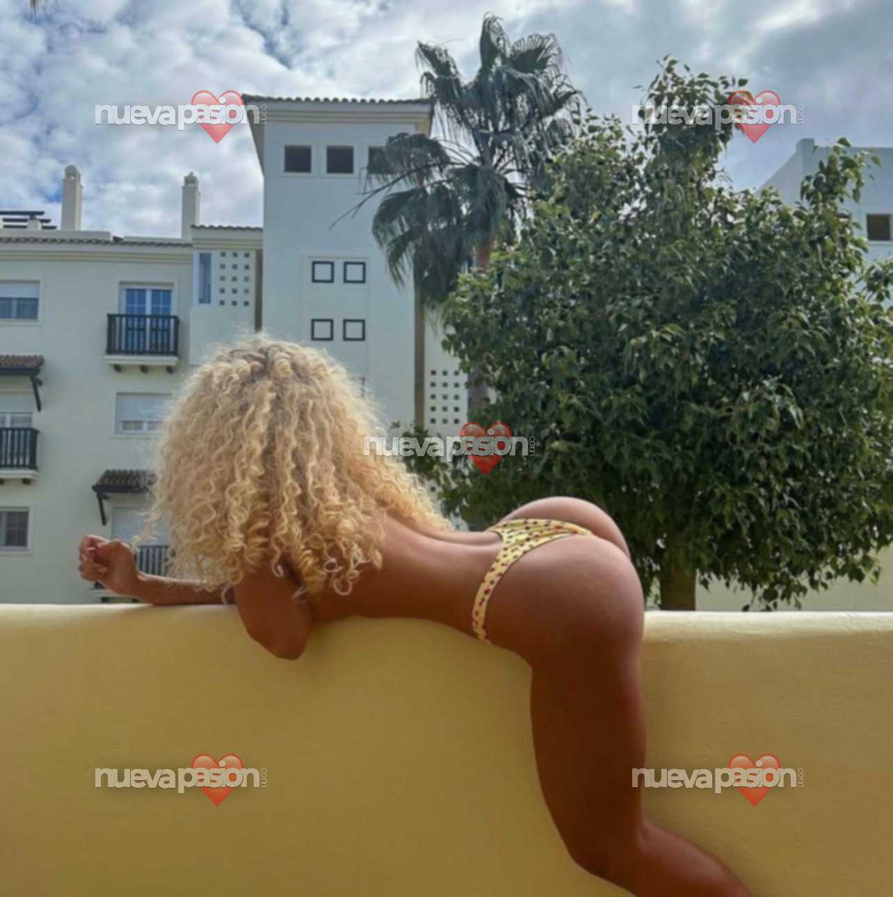 🇪🇸FIESTERA ESPAÑOLA CULITO RESPINGÓN FOTOS REALES VIDEOLLAMADA DE CONFIRMACIÓN profile photo