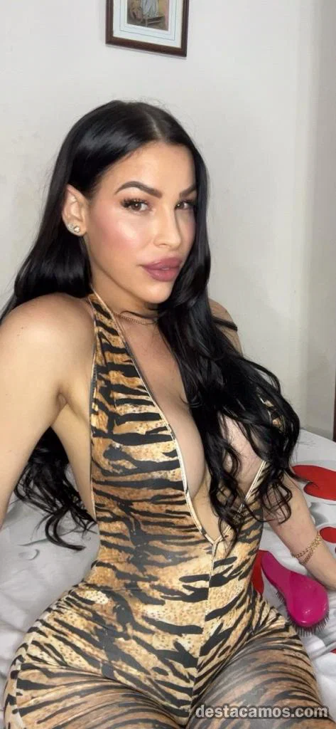 ZARAGOZA NOVEDAD ANGELICA BELLA TRANS PERFECTA TU CITA IDEAL AUTÉNTICA NOVEDAD PARA TI LLÁMAME profile photo