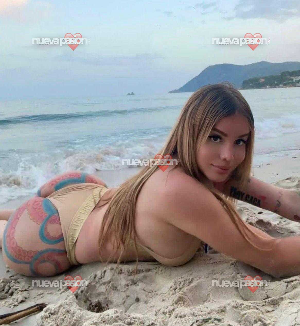 TRANS FIESTESRA NOVEDAD EN LA ZONA VEN A CONOCERME EN SANTA CRUZ DE TENERIFE profile photo
