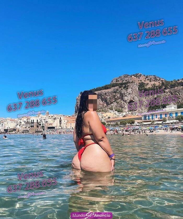Venus profile photo