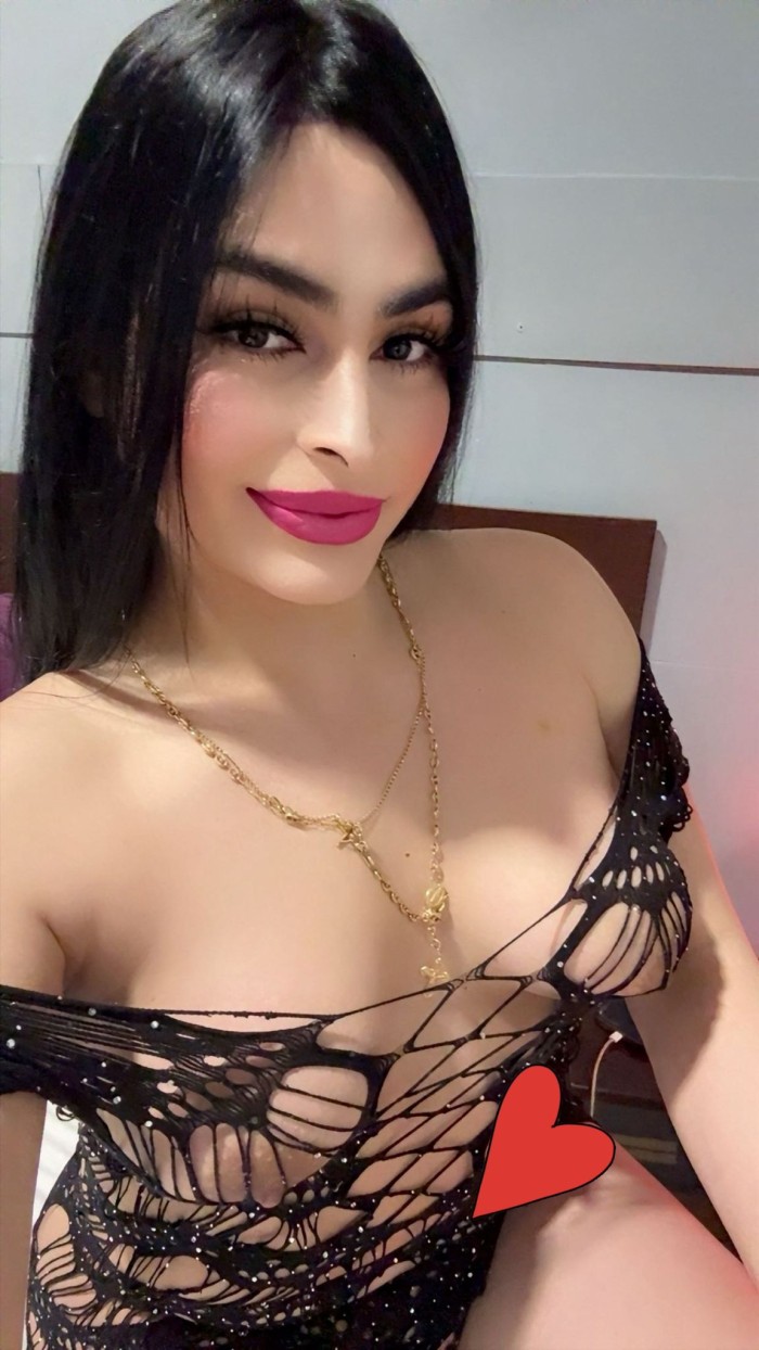 SEXO FIESTA TRANS VERSATIL FIESTERA profile photo