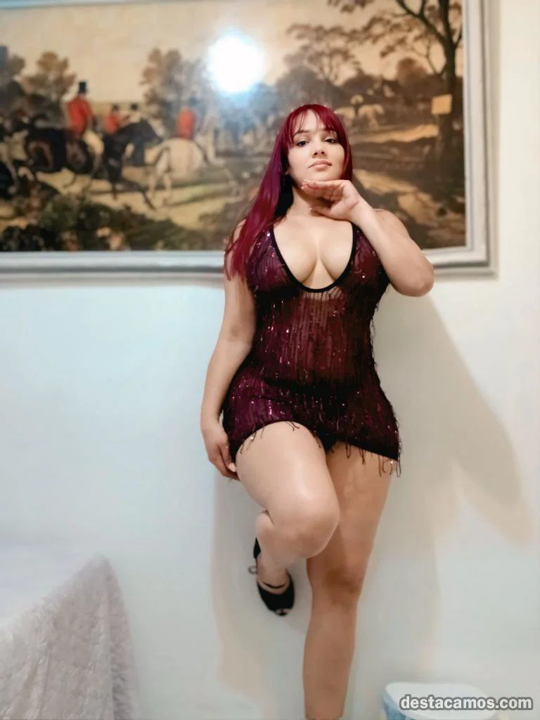 Experiencia VIP profile photo