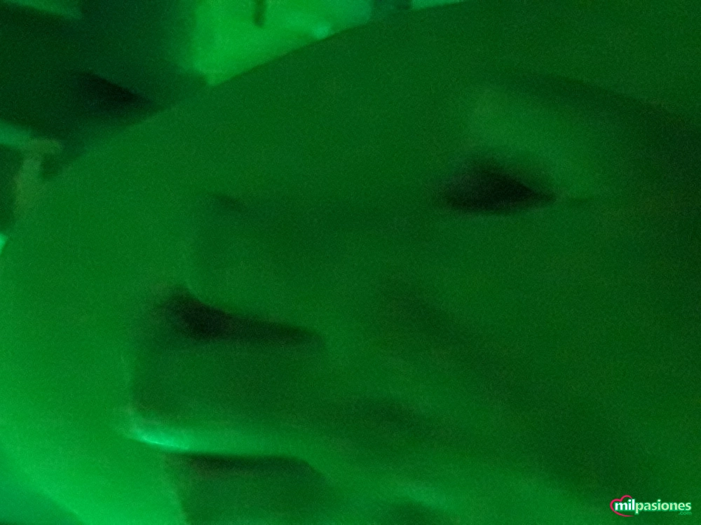 Hacemos fiestas solo para ti. Ven a vernos a Pamplona profile photo