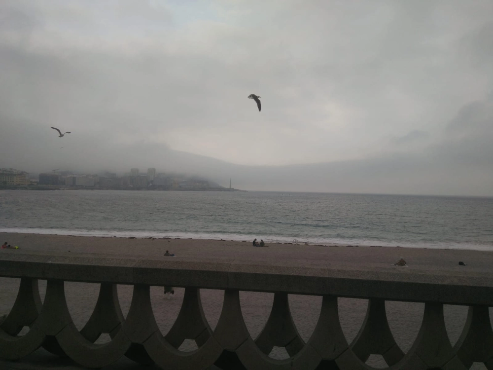 Pasar un rato divertido quemando caloría en la cama profile photo