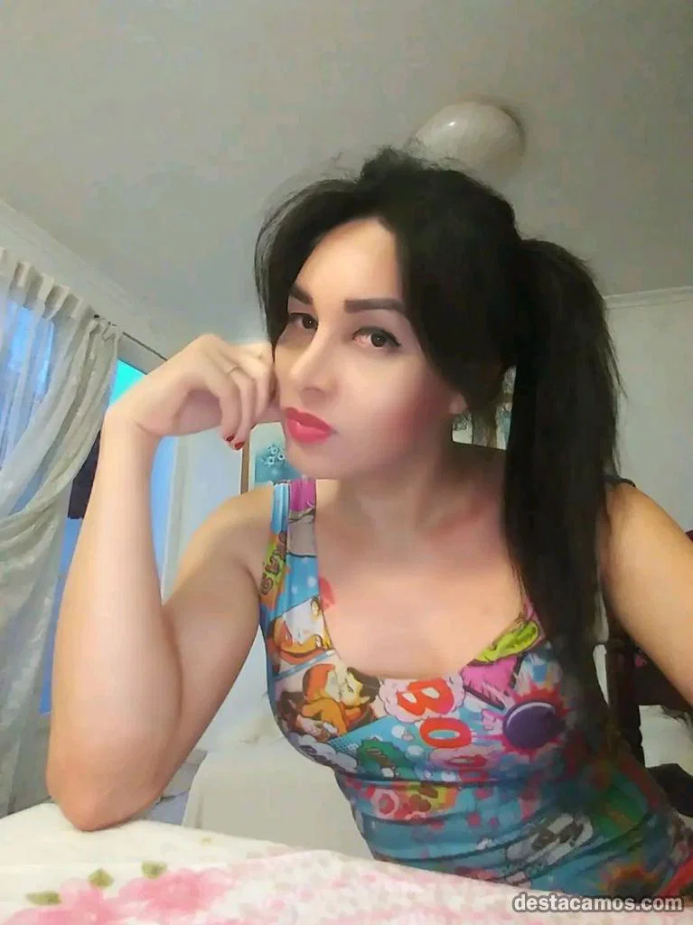 Novedad 24 horas profile photo