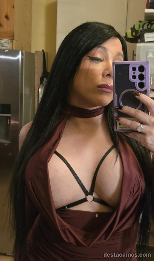 HERMOSA TRANS ARGENTINA profile photo