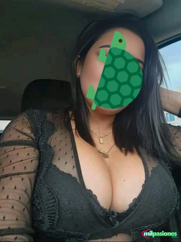 Erste Begegnung mit dir in Aranda de Duero profile photo