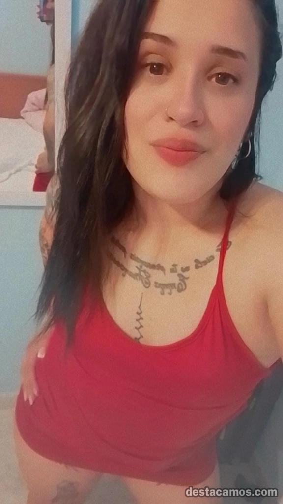 NOVEDAD EN Soria ARGENTINA 🇦🇷 profile photo