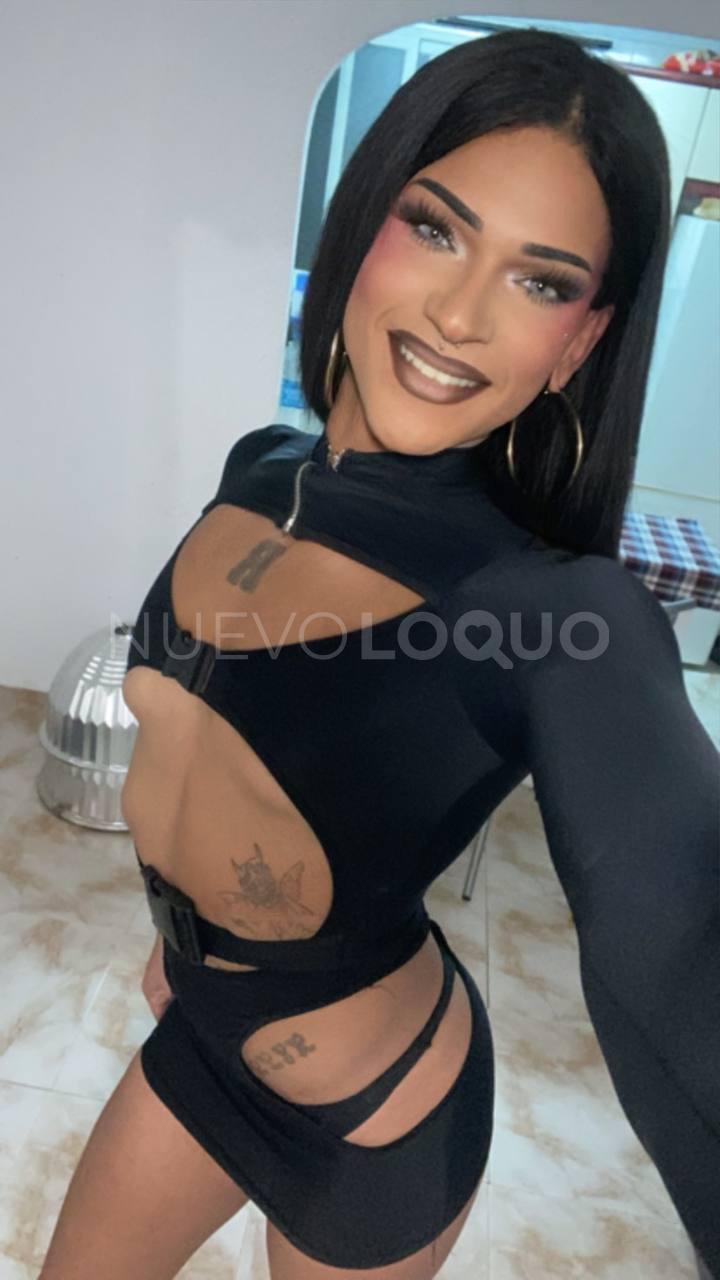 TRANS DIVERTIDA profile photo