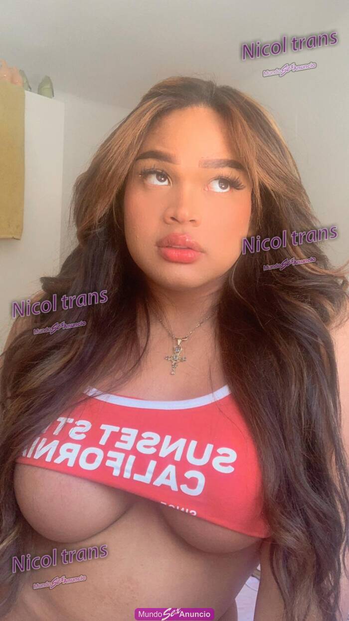 NICOL TRANS PRECIOSA LATINA NUEVA EN FIGUERES PARA DISFRUTAR CONTIGO DISPONIBLE 24 H profile photo